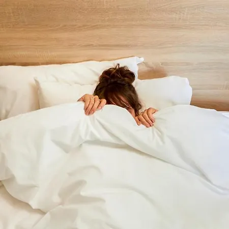 Hotelf1 Saint Nazaire La Baule