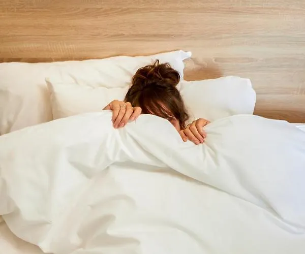 Hotelf1 Saint Nazaire La Baule